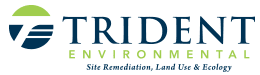 TRIDENT ENVIRONMENTAL LOGO